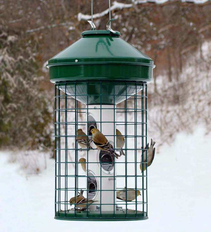 Avian Caged Sunflower & Mixed Seed Feeder 18 lb